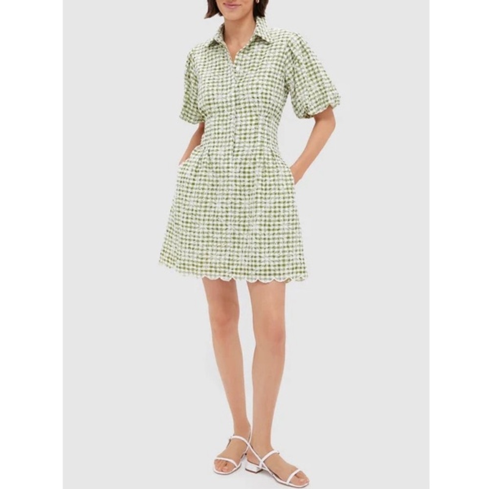 Tuckernuck Green and White Checkered Dress - Picture 11 of 11
